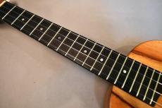 G String T4 DH Tenor【USED】_7