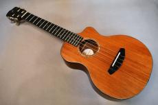 Breedlove TENOR CUSTOM【USED】_2
