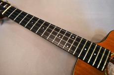 Breedlove TENOR CUSTOM【USED】_7