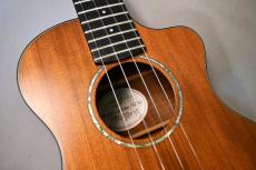 Breedlove TENOR CUSTOM【USED】_9
