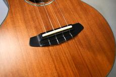 Breedlove TENOR CUSTOM【USED】_10
