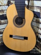 ASTURIAS アストリアス 1985年製 A18-11 11弦 松・ローズ 【日本総本店2F 在庫品】