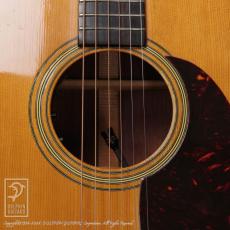 Martin D-28 (Jacaranda)_13