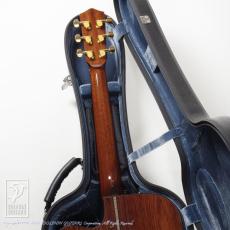 Greven Guitars Japan Oshio-DC HR (Honduras Rosewood)_9