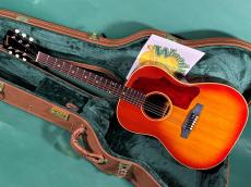 Gibson B-25 CS