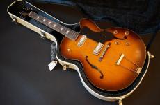 KING SNAKE Lester _6