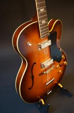 KING SNAKE Lester _7