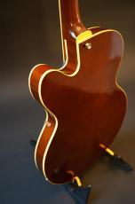 KING SNAKE Lester _8