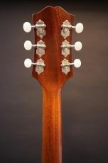 KING SNAKE Lester _10