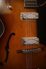 KING SNAKE Lester _11