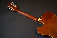 KING SNAKE Lester _5