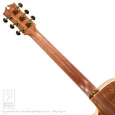 Maton EBG808PF LTD Natural 2025_7