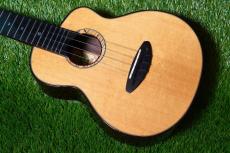 aNueNue UC330 BLUE BIRD Concert