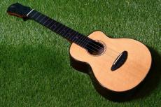 aNueNue UC330 BLUE BIRD Concert_2