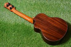 aNueNue UC330 BLUE BIRD Concert_3