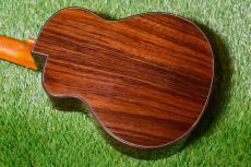 aNueNue UC330 BLUE BIRD Concert_4