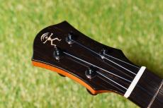 aNueNue UC330 BLUE BIRD Concert_5