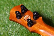 aNueNue UC330 BLUE BIRD Concert_6