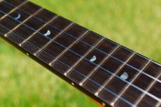 aNueNue UC330 BLUE BIRD Concert_7