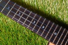aNueNue UC330 BLUE BIRD Concert_8