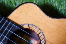aNueNue UC330 BLUE BIRD Concert_10
