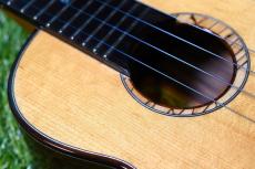 aNueNue UC330 BLUE BIRD Concert_11