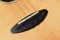 aNueNue UC330 BLUE BIRD Concert_12