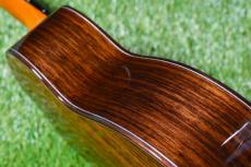aNueNue UC330 BLUE BIRD Concert_15