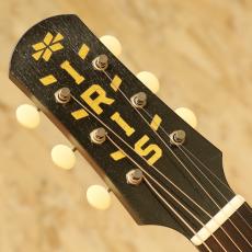 IRIS GUITAR COMPANY The AB Relic T.Burst / Lightaged_8