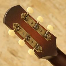 IRIS GUITAR COMPANY The AB Relic T.Burst / Lightaged_9