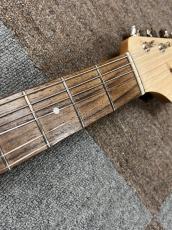 Bacchus G-STUDIO ASH/FS BR/OIL_6
