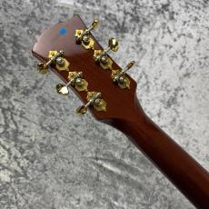 B&G Guitars 【極上杢個体】STEP SISTER PRIVATE BUILD [3.27kg] 2019年製 3Fフロア_10