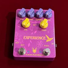 TSAKALIS AUDIO WORKS Experience  【1台限定特価】【60~70年代のファズ&オクターブアップ】