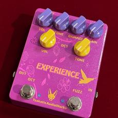 TSAKALIS AUDIO WORKS Experience  【1台限定特価】【60~70年代のファズ&オクターブアップ】_2
