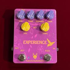 TSAKALIS AUDIO WORKS Experience  【1台限定特価】【60~70年代のファズ&オクターブアップ】_6