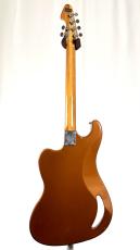 Teisco 【1960年代製】TG-64 -Brown-【3.43kg】_4