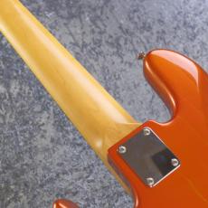 FREEDOM CUSTOM GUITAR RESEARCH RS JB 5st 【4.07kg】_9