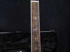 Paul Reed Smith [PRS] Japan Exclusive Wood Library McCarty Trem 10Top Stained Maple Neck Arctic Blue Natural Back 2026_6