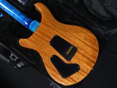 Paul Reed Smith [PRS] Japan Exclusive Wood Library McCarty Trem 10Top Stained Maple Neck Arctic Blue Natural Back 2026_9
