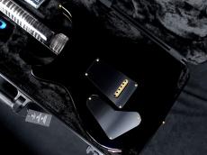 Paul Reed Smith [PRS] Japan Exclusive Wood Library McCarty Trem 10Top Stained Maple Neck Charcoal Black Back 2026_9