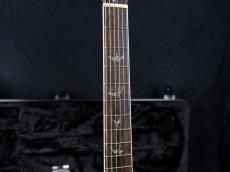 Paul Reed Smith [PRS] Japan Exclusive Wood Library McCarty Trem 10Top Stained Maple Neck Red Tiger 2026_6
