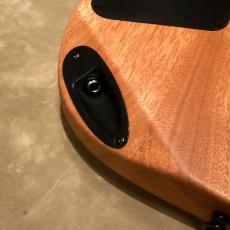 Charvel Pro-Mod DK24 HH HT E Mahogany with Poplar Burl, Desert Sand_10