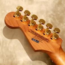Charvel Pro-Mod DK24 HSH 2PT CM Mahogany, Natural_5