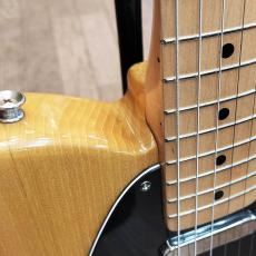 Fender Japan TL72-55_6