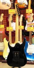 Ibanez RGV250_4
