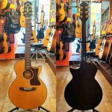 Guild Songbird_2