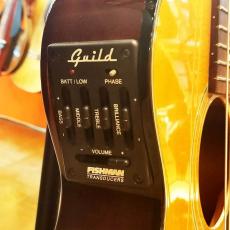 Guild Songbird_3