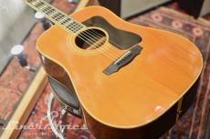 Guild 1978 D-55 NT (Natural)_2