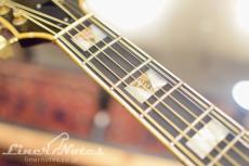 Guild 1978 D-55 NT (Natural)_6