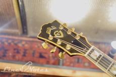 Guild 1978 D-55 NT (Natural)_7